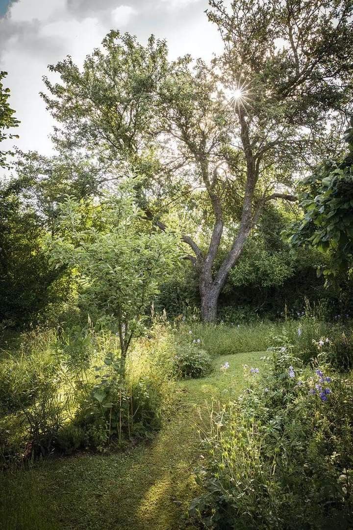 ASPEN NURSERY LLC